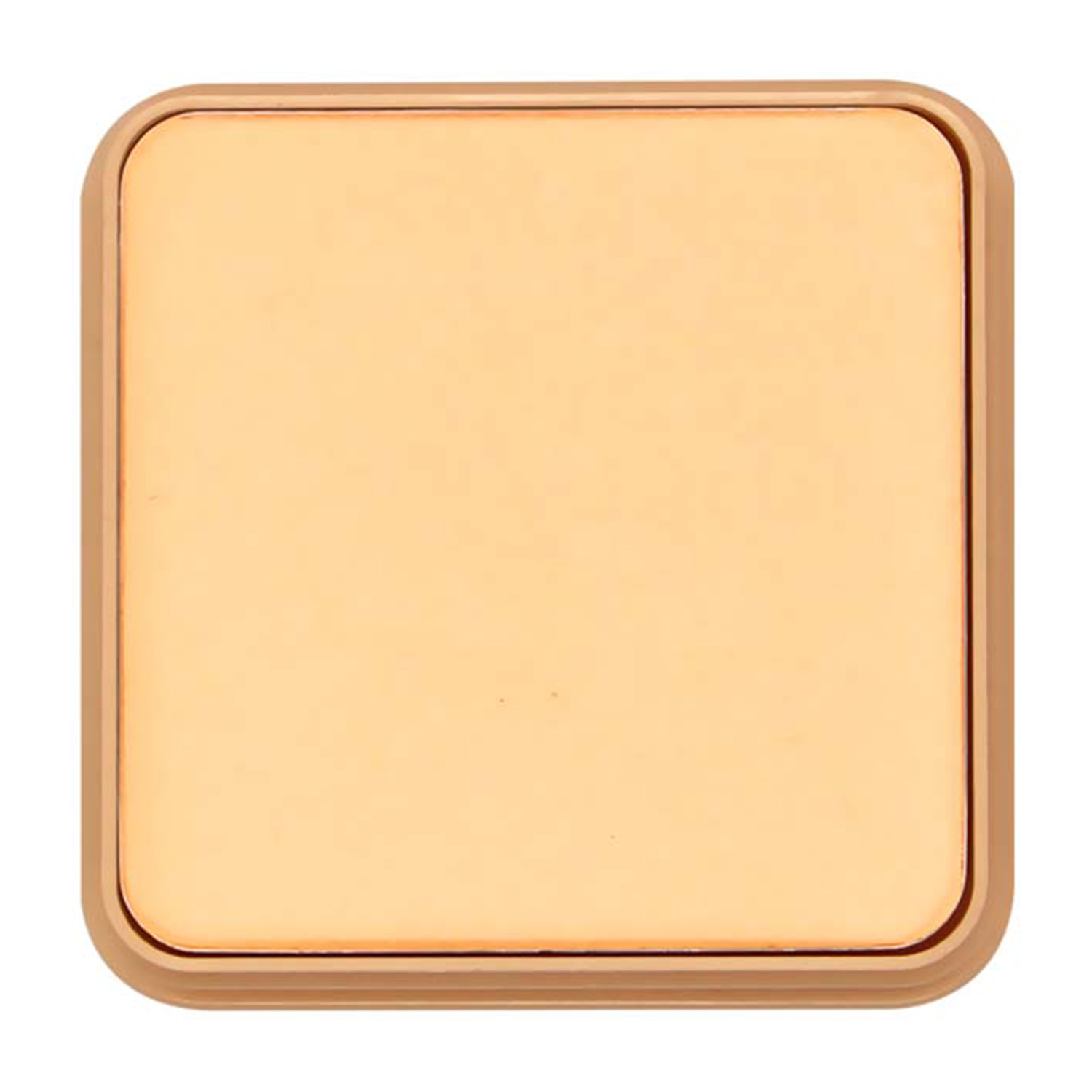Lyon Beauty USA Pro Matte Pressed Powder, 30gm-Pressed Powder - 01 Pearl Ivory